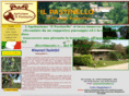 ilpastinello.com