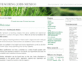 teachingjobsmexico.com
