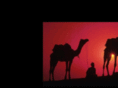 beyondthesahara.com