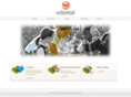 celestialedu.com