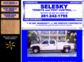 seleskypestcontrol.com