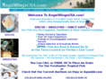 angelwingsusa.com