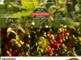 cafegabilondo.com