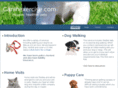 caninexercise.com
