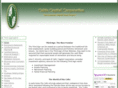 celticcapitalcorp.org