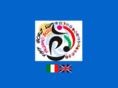 fistfworldcup-palermo2011.com