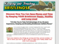 keepingandbreedingbristlenose.com