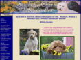southerncharmlabradoodles.com