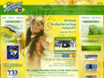 brazilianeventssandiego.com