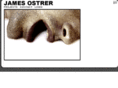 jamesostrer.com