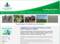 lucerneaustralia.org.au