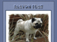 raevonpugs.com