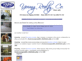 young-realty.com