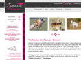zanozaborzoi.com