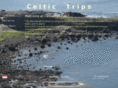 celtictrips.net