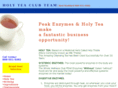 holyteaclubteam.com