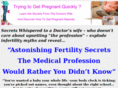 trying-to-get-pregnant-quickly.com