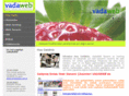 vadaweb.com