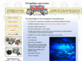 123ignition-conversions.com