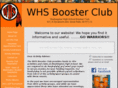 whsbooster.com
