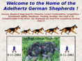 adelhertz.com