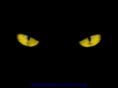 badkatcomedy.co.uk