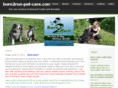 born2run-pet-care.com