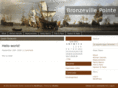 bronzevillepointe.com