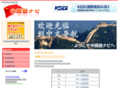 chinese-navi.com