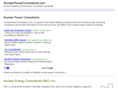 nuclearpowerconsultants.com