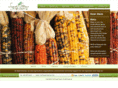 seed-stories.com