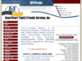 ssyfsi.com