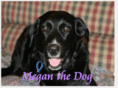 meganthedog.co.uk