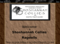 shoshannahcollies.com