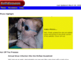 themcraes.com