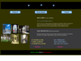 traducciones-mexico.com