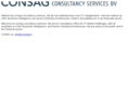 consagservices.com