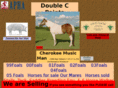 doublecpaints.com