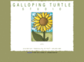 gallopingturtlestudio.com