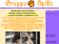 gruppospillo.com