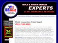 moldinspectionpalmbeach.com