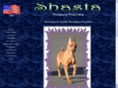 shastaminpins.com