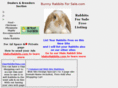 bunnyrabbitsforsale.com
