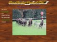 horseracingfever.net