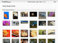 wingtangwong.com