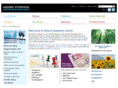 accountantssouthern.com