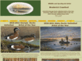 broderickcrawfordart.com