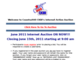 internetactionauction.com