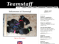 teamstaff.info