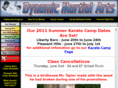 dynamicmartialartspa.com